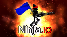 Ninja io